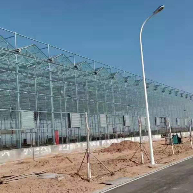 生态智能温室大棚  玻璃大棚设计  农业种植温室大棚