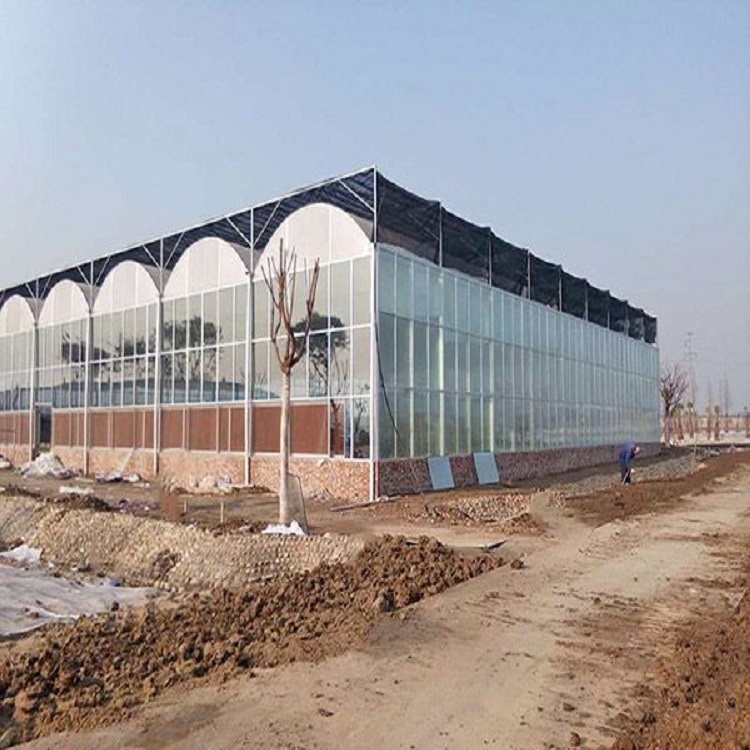 山东玻璃温室建造  薄膜连栋温室建造  玻璃温室大棚骨架