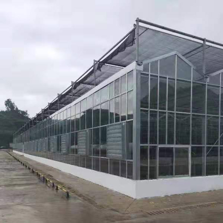 生态智能温室大棚  玻璃温室大棚  农业玻璃大棚建设,