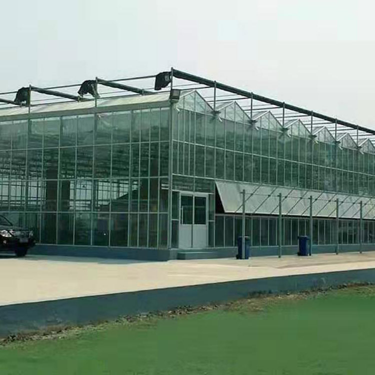 大型生态玻璃温室大棚  玻璃温室价格  农业种植温室大棚