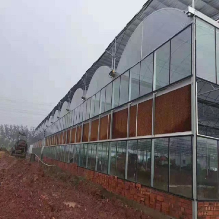 山东玻璃温室建造  蔬菜连栋温室  生态温室连栋大棚