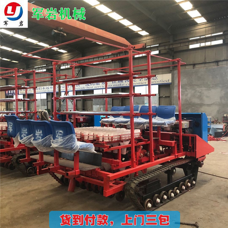 叶菜移栽机 移栽机械报价 叶菜移栽机价格