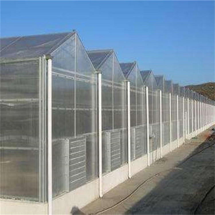 鑫创 建设PC板温室  外形现代  结构稳定