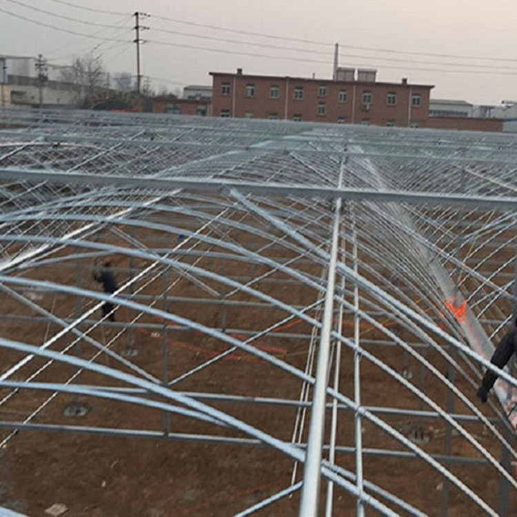 连栋温室建造报价 潍坊阳光板连栋温室 使用时间久