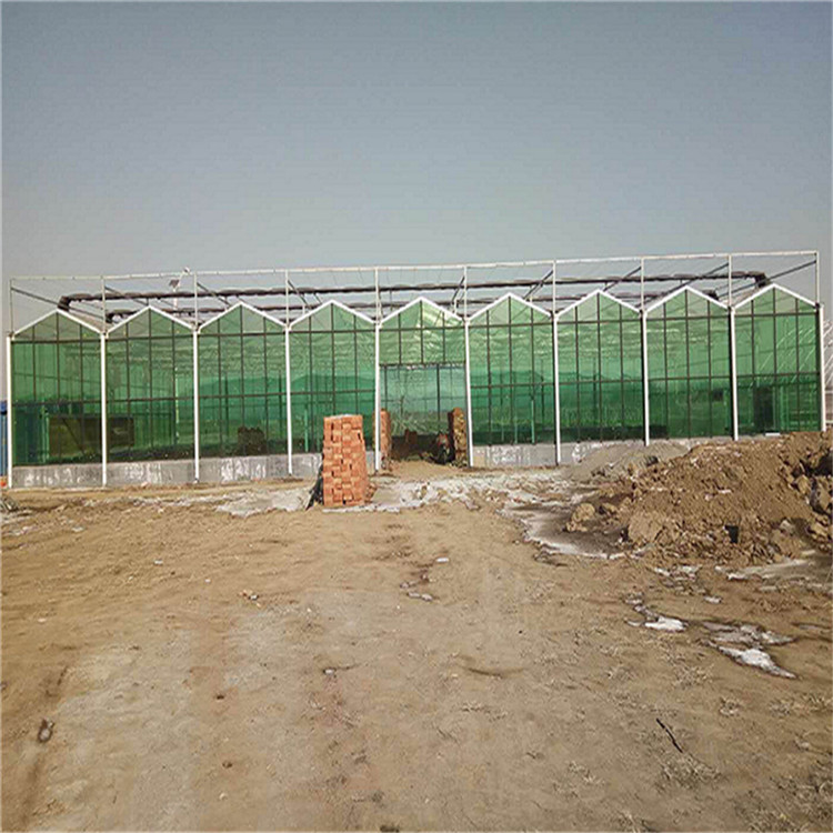 PC板连栋温室 鑫创温室建造 山东PC板温室报价