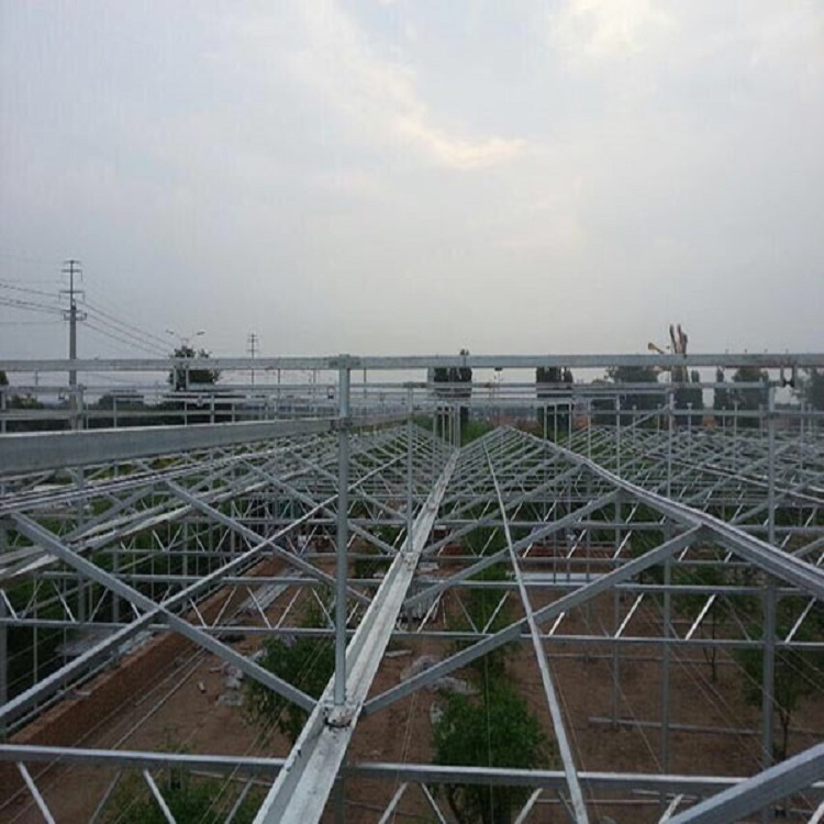 纹络温室建设 青州新型纹络温室 安装设计