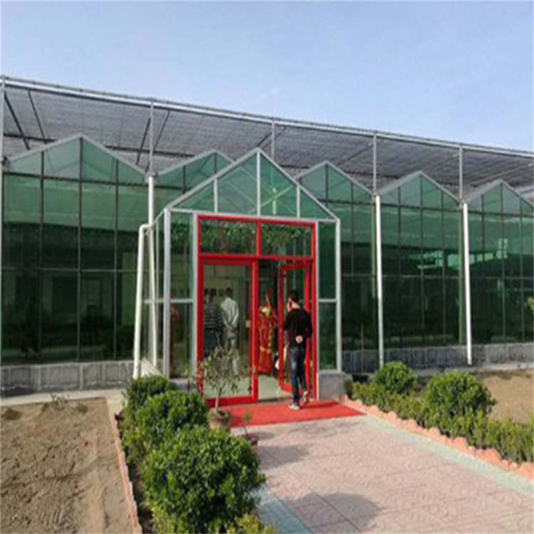欢迎咨询 玻璃大棚 玻璃温室建设