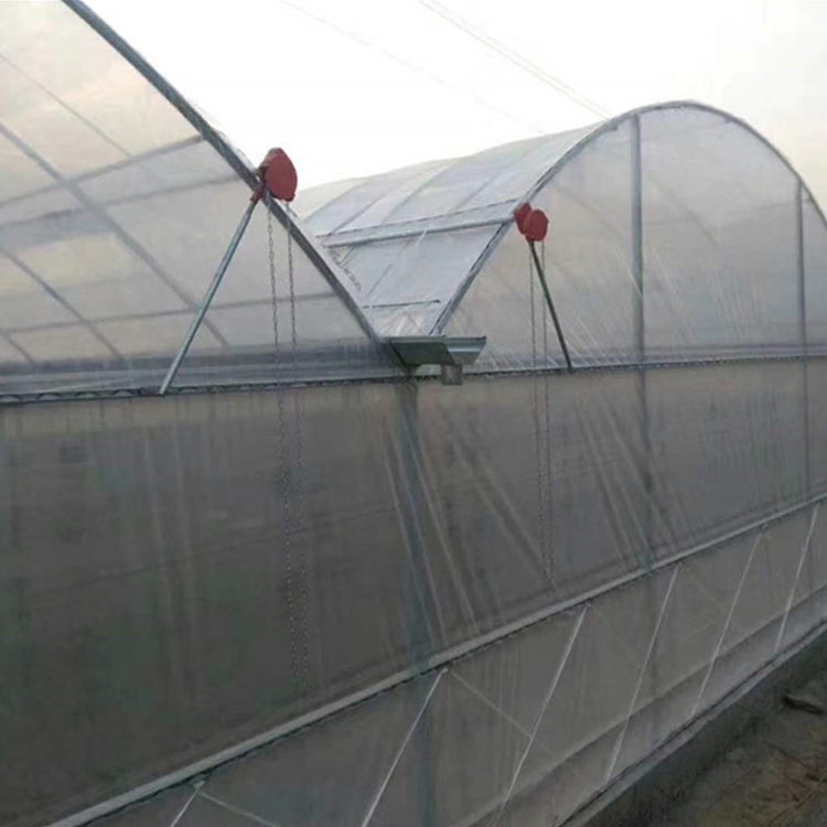 种植大棚建设 山东蔬菜种植大棚 施工快捷 蔬菜种植大棚