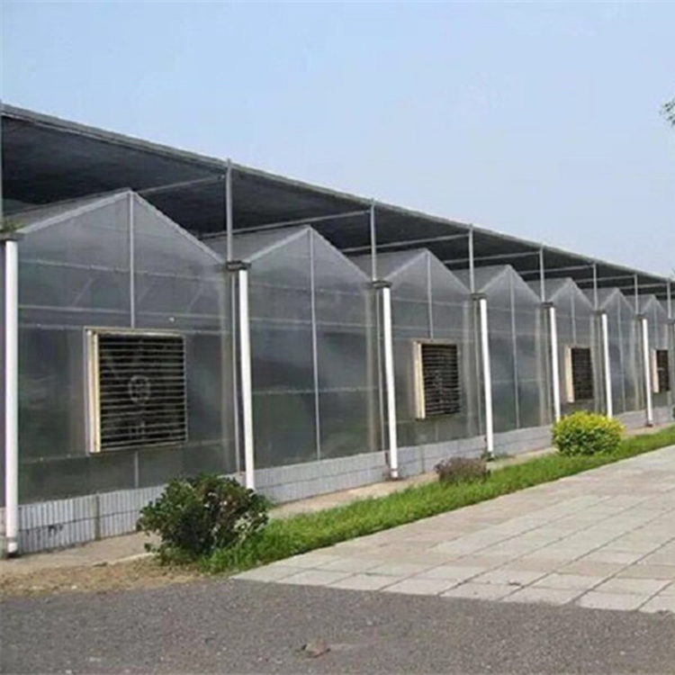 鑫创  日照阳光板温室  抗风能力强