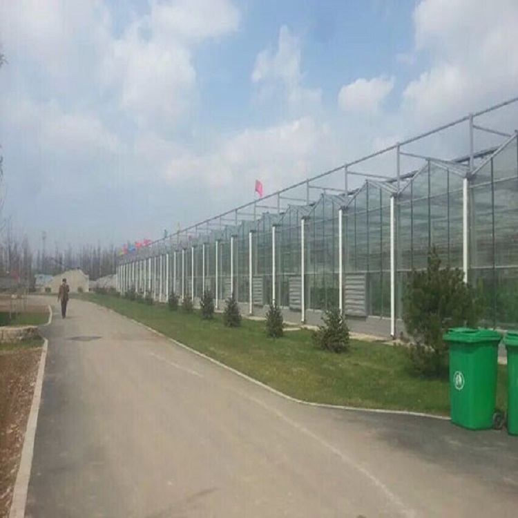 欢迎订购  智能纹络温室加工 智能温室 智能纹络温室报价 
