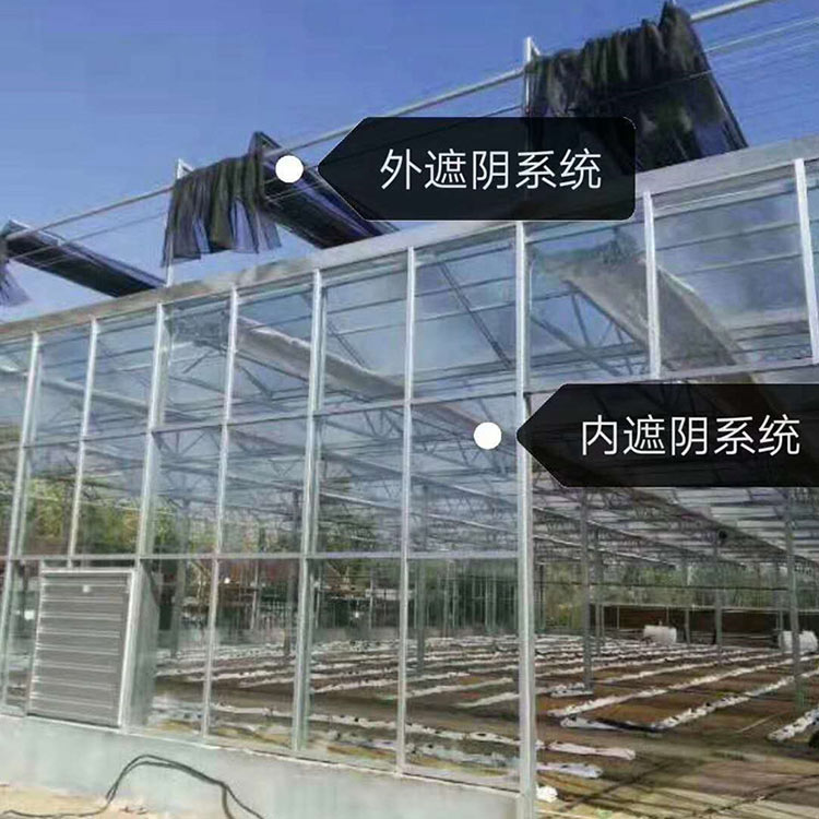 育苗种植大棚 口碑不错的 山东蔬菜种植大棚建造