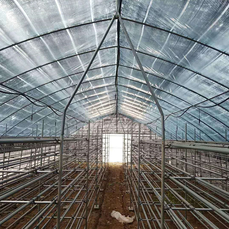 口碑不错的蔬菜种植大棚 青州樱桃种植大棚承建公司