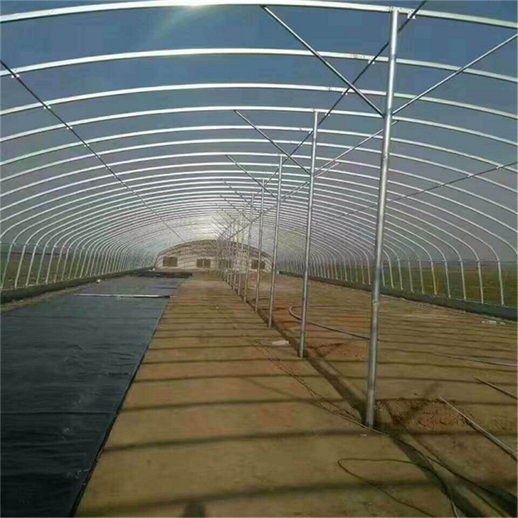 简易大棚设计安装 青州花卉大棚 安装设计