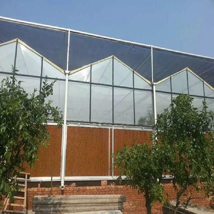 真材实料 温室大棚 纹络温室建设