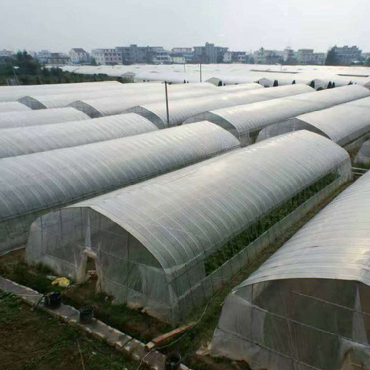 种植大棚 可定制 青州樱桃种植大棚承建公司