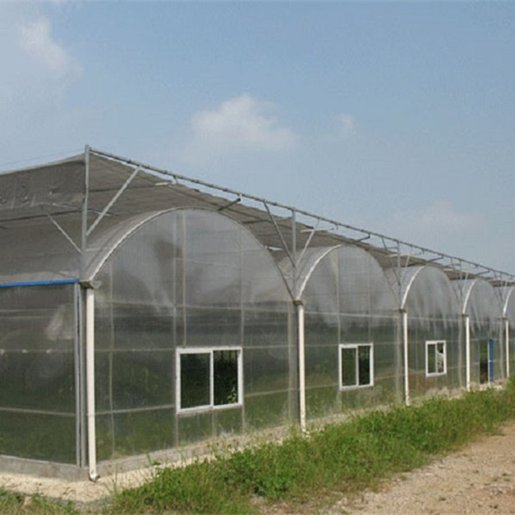鑫创温室建造 PC板连栋温室 承建阳光板温室