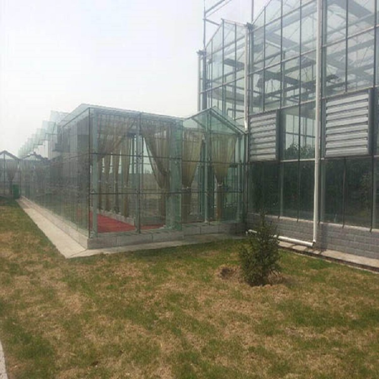 鑫创温室工程 纹络温室 纹络温室价格