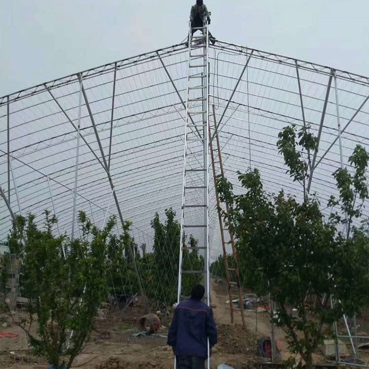 育苗种植大棚建造 青州蔬菜种植大棚 口碑不错的 蔬菜种植大棚