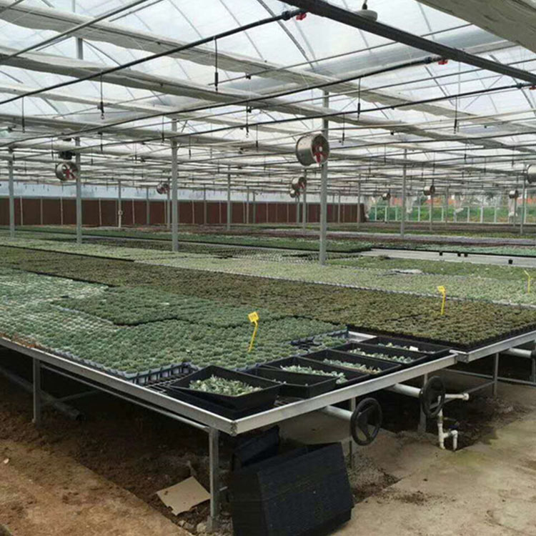 樱桃种植大棚 青州种植大棚建设