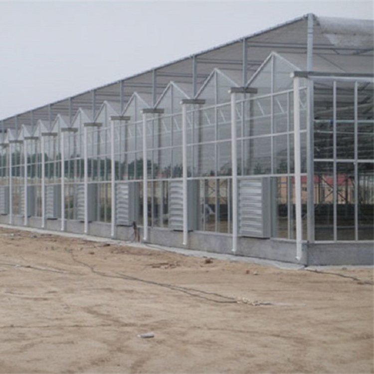 温室工程公司建设 PC阳光板大棚 承建阳光板温室
