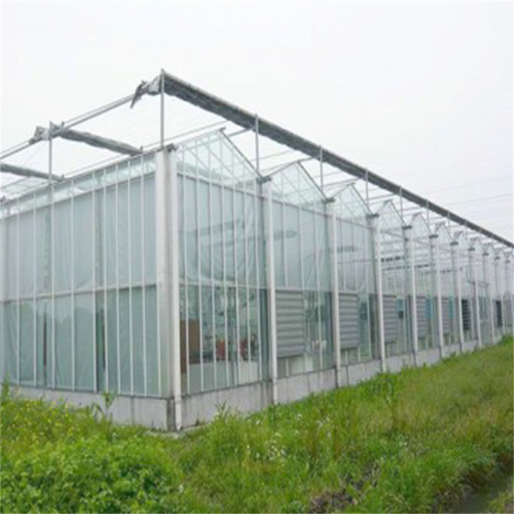 安装设计 玻璃温室 玻璃温室建设