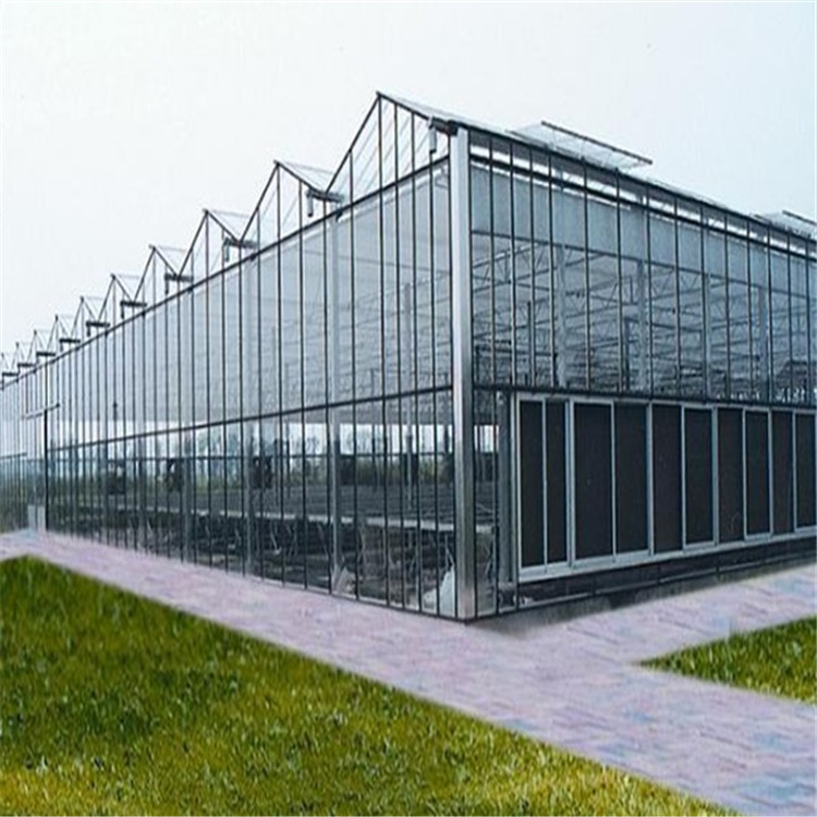定制玻璃温室大棚 草莓玻璃温室建造 文洛玻璃温室工程