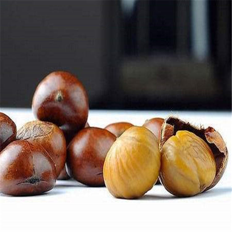 板栗果 可炒制 可与鸡肉同煮