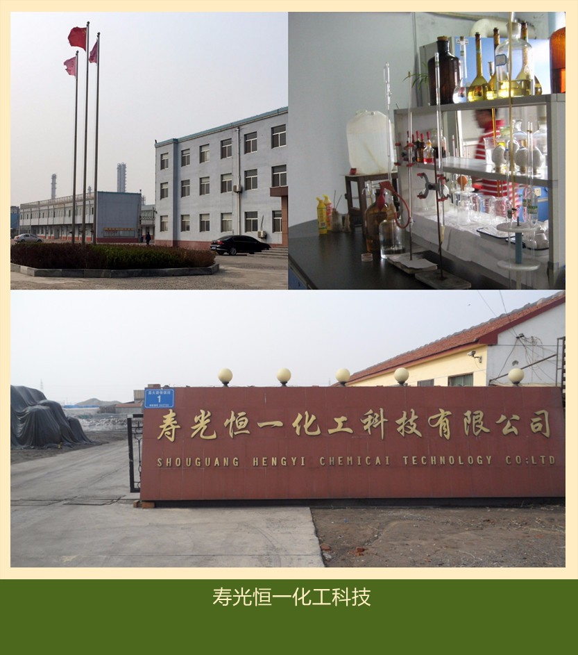 寿光恒一化工科技有限公司