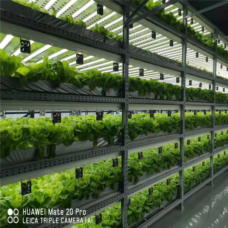 诚心合作 液流技术 蔬菜种植无土栽培技术 欢迎来电
