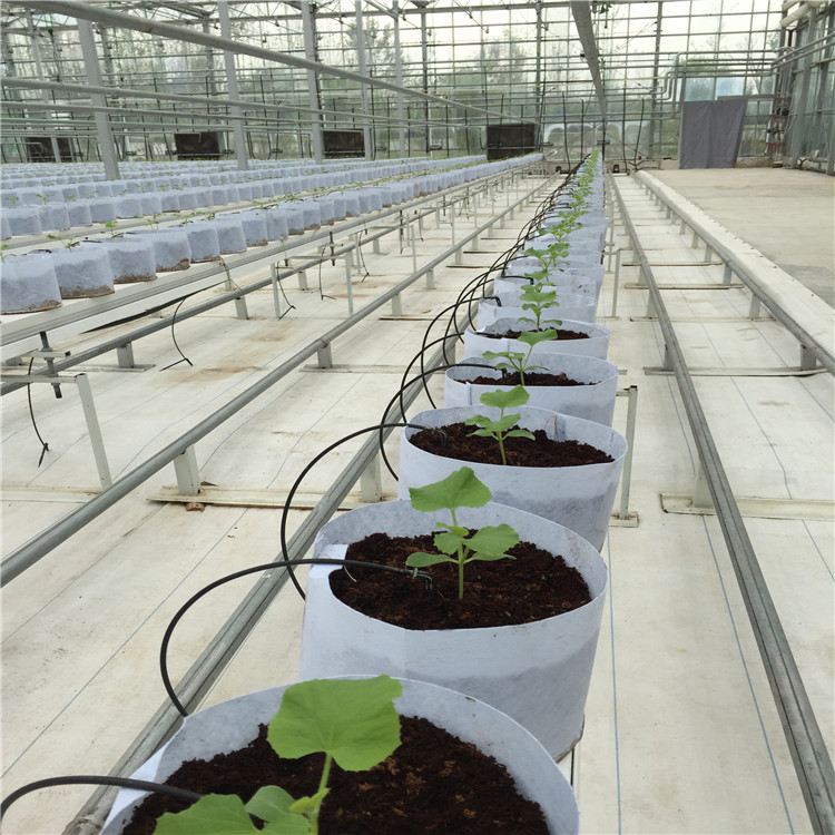 欢迎垂询 无土栽培技术 荷兰模式种植系统来电洽谈