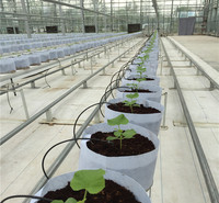 果蔬叶菜种植无土栽培系统 方立农业 省时省工技术 环保健康