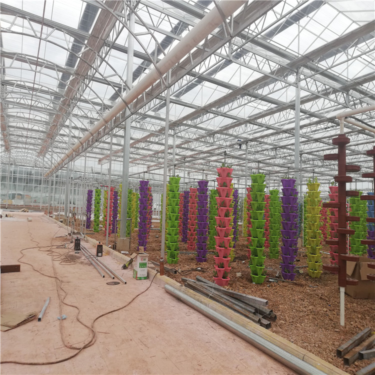 合作共赢 草莓、甘蓝、花椰菜等栽培种植系统 无土栽培技术 互惠互利