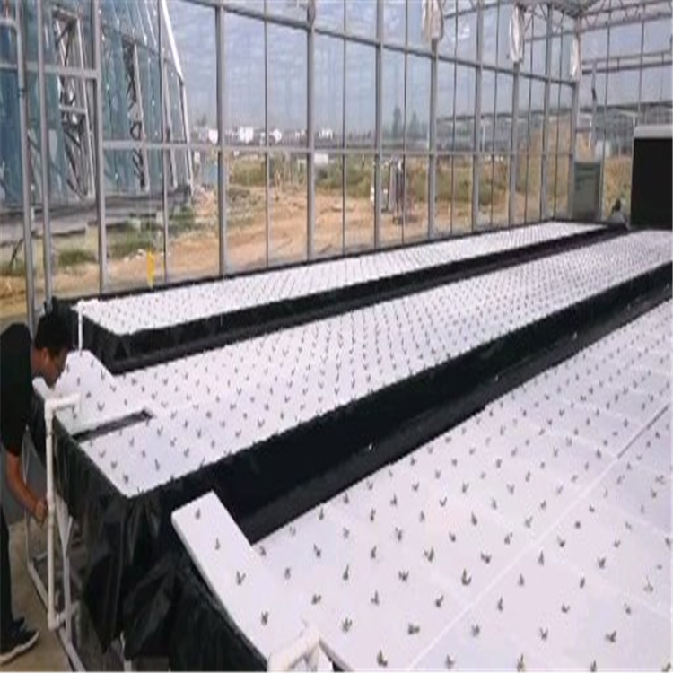 用户至上 深液流叶菜种植系统 叶菜种植系统 工厂直销