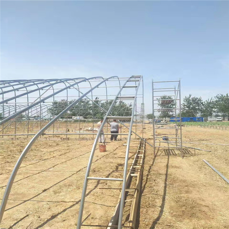 省心农业发展 蔬菜温室大棚 温室大棚 诚实守信