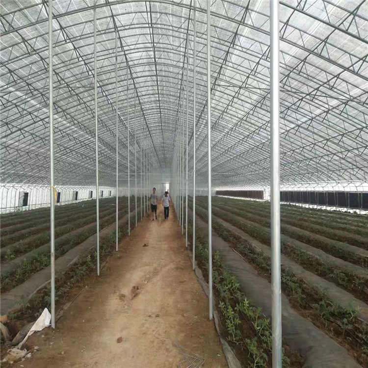 真诚合作 温室工程 薄膜温室 今日推荐