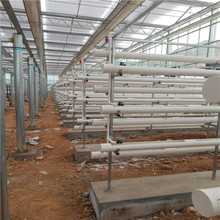 果菜种植系统 无土栽培 矮生作物栽培系统 基质槽种植