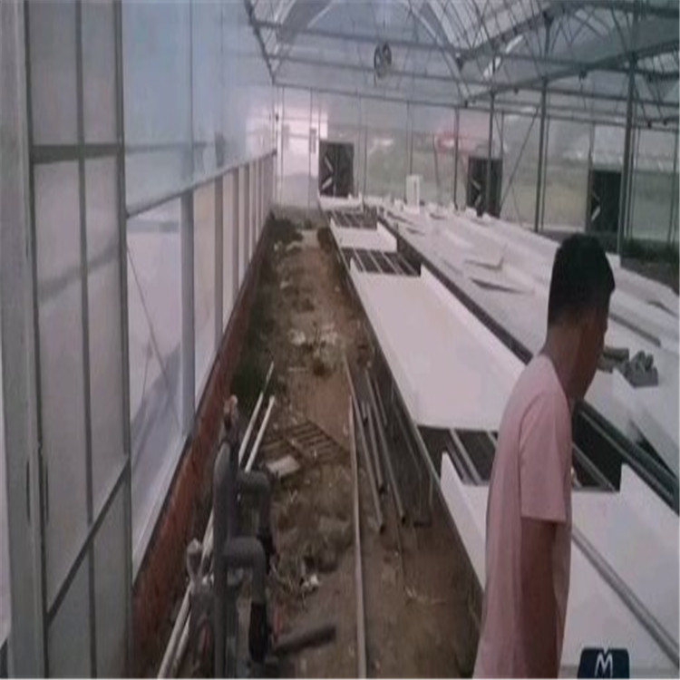 量大从优 水培系统 水培营养栽培系统 满意服务
