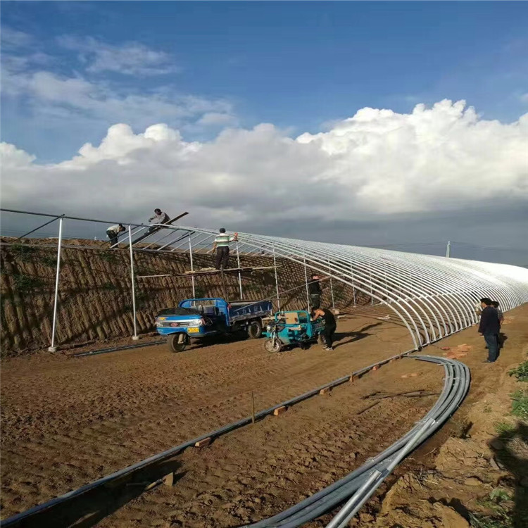 详情进入 日光温室建设 温室大棚建造 热情服务