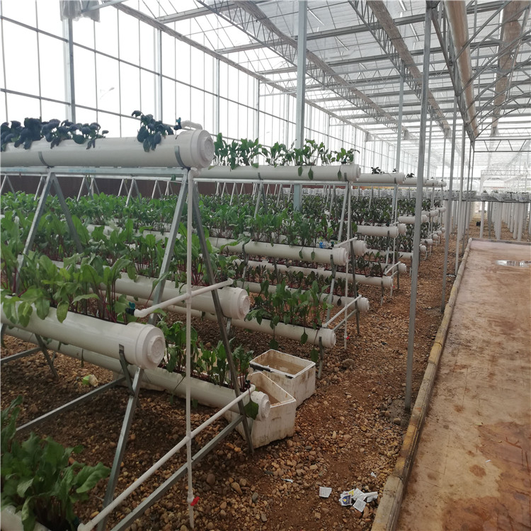 放心托付 基质槽果菜种植系统 无土栽培技术 今日推荐