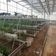 基质槽果菜种植系统 无土栽培 蔬菜水果无土栽培