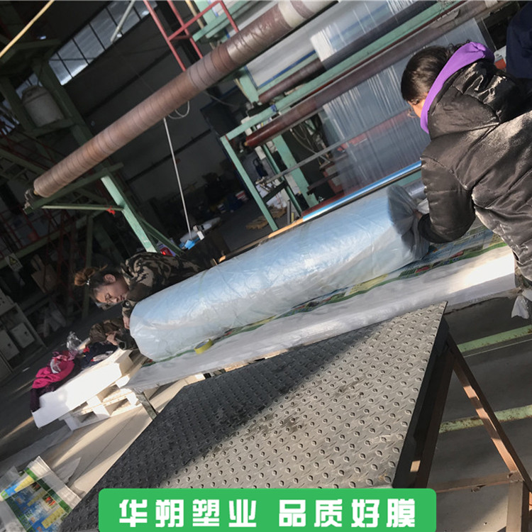 欢迎咨询 防老化葡萄膜批发商 广东大棚葡萄膜
