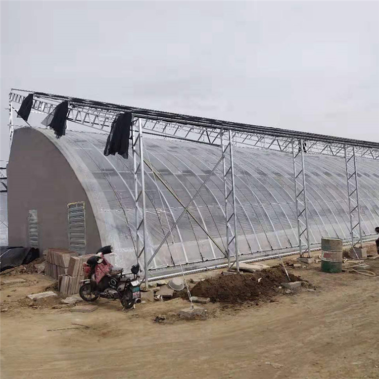价格优惠 日光温室建设 玻璃日光大棚 青州日光温室