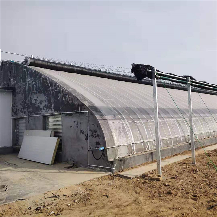 日光温室大棚工程 价格优惠 新型日光温室 山东玻璃日光温室