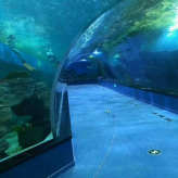 承接亚克力鱼缸 上海大型亚克力鱼缸 水族馆厂家 
