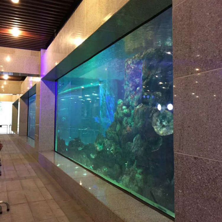 厂家定制PMMA透明亚克力鱼缸 亚克力水族工程项目 可定制尺寸