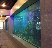 厂家定制PMMA透明亚克力鱼缸 亚克力水族工程项目 可定制尺寸