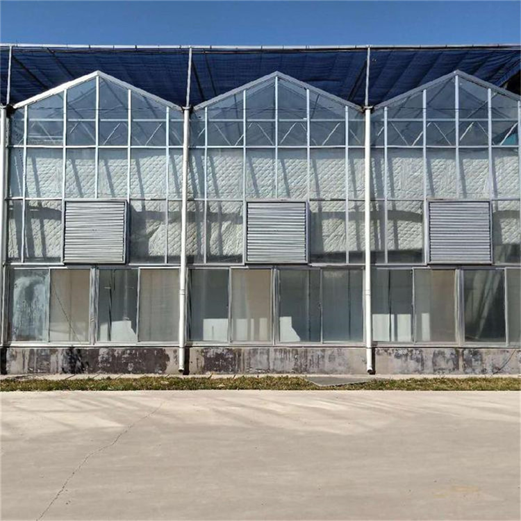 育苗玻璃温室 玻璃温室工程 温室大棚种类齐全 北方