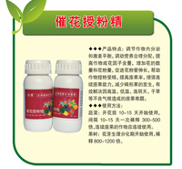 催花授粉精 保花保果王 <em>防</em>裂果落果 沾花药