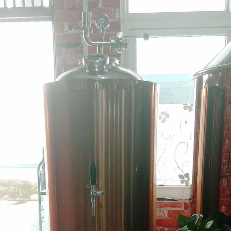 精酿啤酒设备厂家 500ml啤酒设备定制