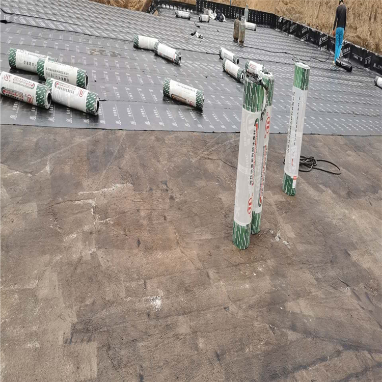 道桥用改性沥青防水卷材 热情服务 弹性体改性沥青防水卷材点击咨询